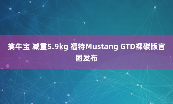 擒牛宝 减重5.9kg 福特Mustang GTD裸碳版官图发布