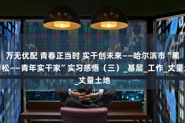 万无优配 青春正当时 实干创未来——哈尔滨市“黑土青松——青年实干家”实习感悟（三）_基层_工作_丈量土地